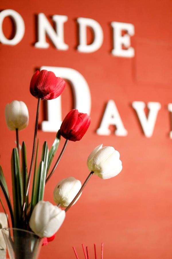 סלאמנקה Hostal Conde David מראה חיצוני תמונה